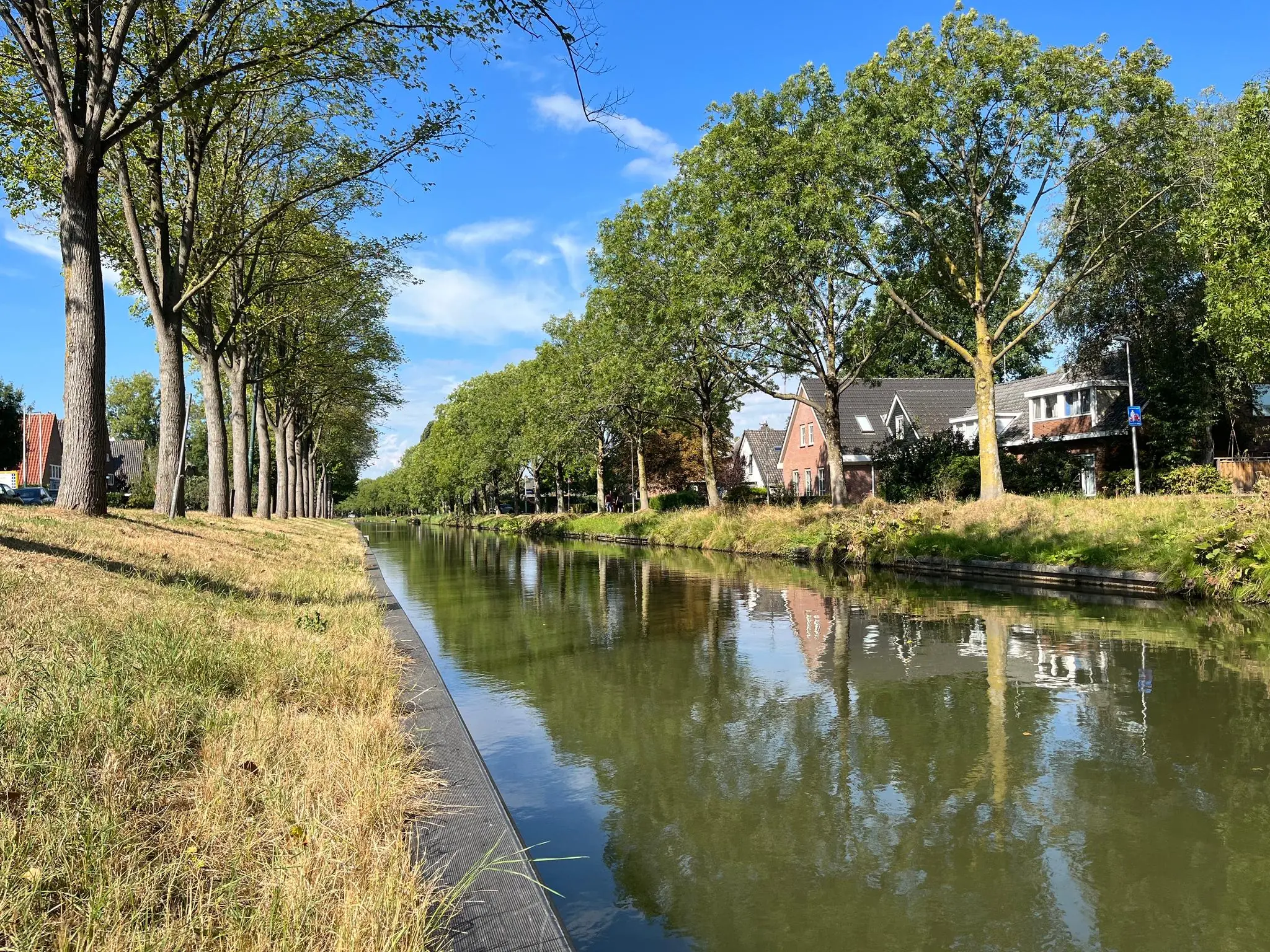 Boomrijke gracht in Leidse Rijn met woonhuizen langs het water op een zonnige dag.